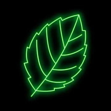Green neon leaf glowing an eco friendly symbol Stock Illustration