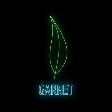 Green neon leaf logo with garnet text sign イラスト素材