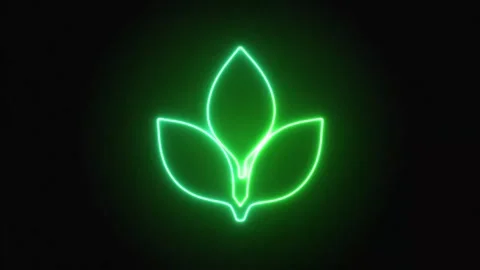 Green neon leaf outline draws on and glows against a black background Stock Footage 341336997