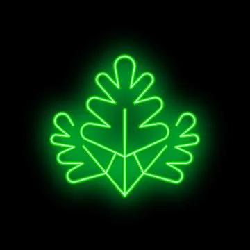Green neon light representing three oak leaves on black background Stock Illustration