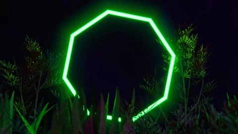 Green neon octagonal light among tropical jungle. Loop 3d animation Stock Footage 251585821