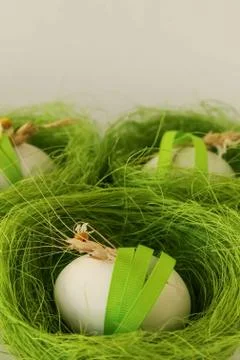 Green nests with white eggs on a white background Stock Photos