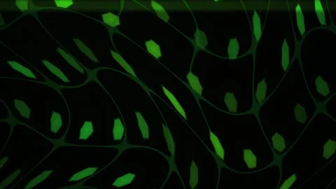 Green Network Abstract Background with Glowing Lines for Digital Technology.. Stock Footage 343722229