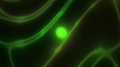 Green Neuron Cell in Microscope View. Stock Footage 340034393