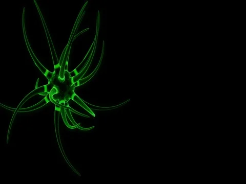Green Neuron receiving and transmitting an impulse. Stock Footage 77672811