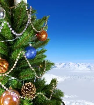 Green new year tree Stock-Fotos