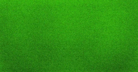 Green Noise Stock Footage 112880147