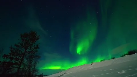 Green northern lights dancing in the starry night sky Stock Footage 337021774