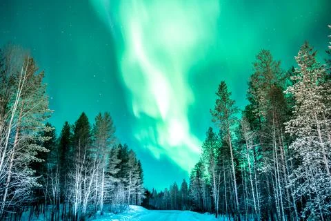 Green Northern Lights in wave pattern over trees in north Karelia Stock Photos