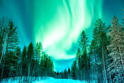 Green Northern Lights in wave pattern over trees in north Karelia Stock Photos