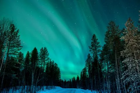 Green Northern Lights in wave pattern over trees in north Karelia Stock Photos