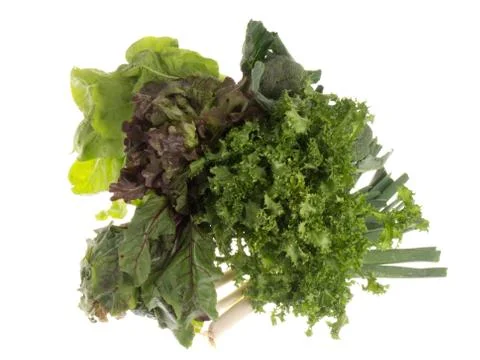 Green nourishment Foto stock