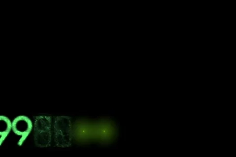 Green numbers on the bottom of screen - digital animation Vidéo 132350