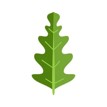 Green oak leaf design showing natural shape and veins Illustrazione stock