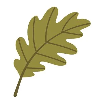 Green Oak Leaf Isolated Vector Element Flat Style Icon Stock Illustration