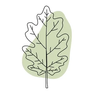 Green Oak Leaf Minimal Line Art Design Stock Illustration
