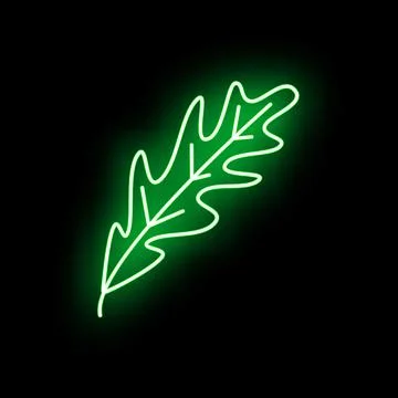 Green oak leaf outline glowing in neon light Stock Illustration