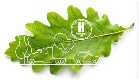 Green oak leaf textured by hydrogen chemical element. Sign with atomic number Stock Illustration