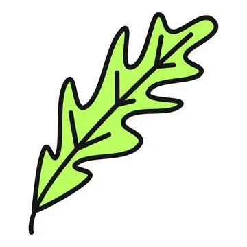 Green oak leaf vector illustration on white background Illustrazione stock