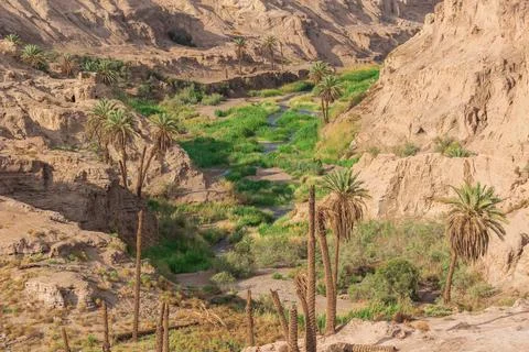 Green oasis with palm trees and river in the middle of a desert canyon Foto stock