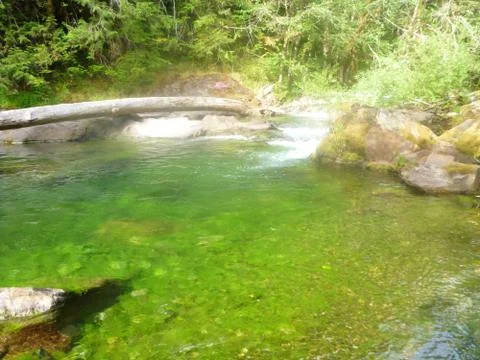 Green Oasis Stock Photos