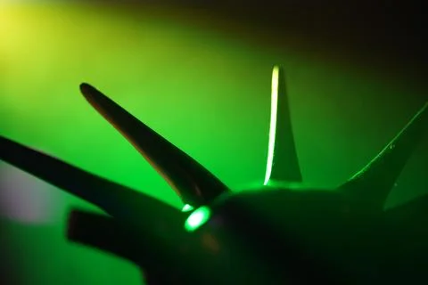 A green object with a pointed tip Stock Photos