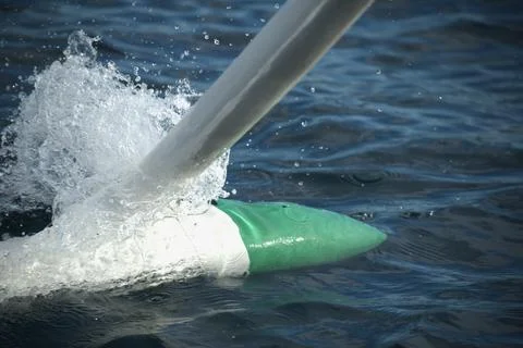 A green object was floating in the water 스톡 사진