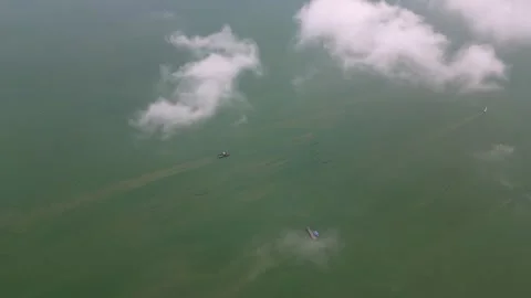 A green ocean with a few float on it. Aerial Sungai Ayam, Batu Pahat Vídeo Stock 325842405