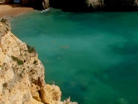 Green Ocean Video stock 490122