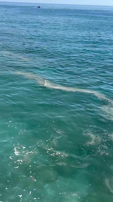 Green Ocean Water Waves with Pier and Boat Vídeos de archivo 341317234