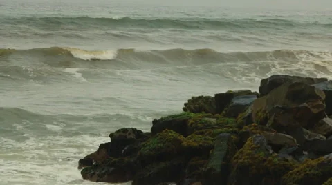 Green Ocean Waves Crash Against Rocks with Moss , Real time Stock Footage 48253769