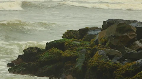 Green  Ocean Waves Crash Against Rocks with Moss, Spray Stock Footage 48254167