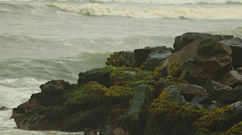 Green Ocean Waves Crash Against Rocks with Moss Stock Footage 48258794