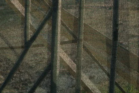 Green old shading net texture and background Foto stock