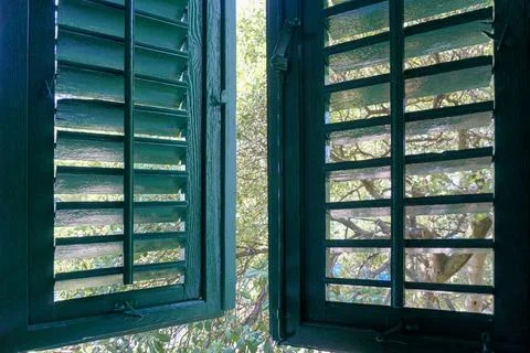 Green old shutter covers the window on a sunny day Fotos de archivo
