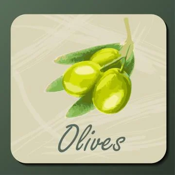 Green olive on a branch Stock Illustration