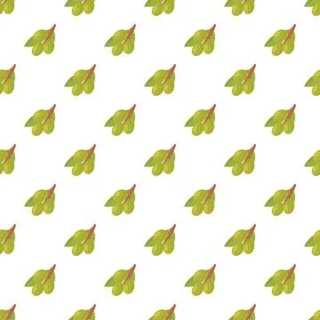Green olive branch pattern repeating seamlessly Stock Illustration