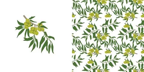 Green olive branch with seamless texture. Summer design of olive tree plant Stock Illustration