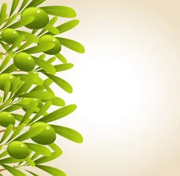 Green olive branches Stock Illustration