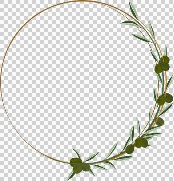 Green olive frame isolated on background Stock Illustration