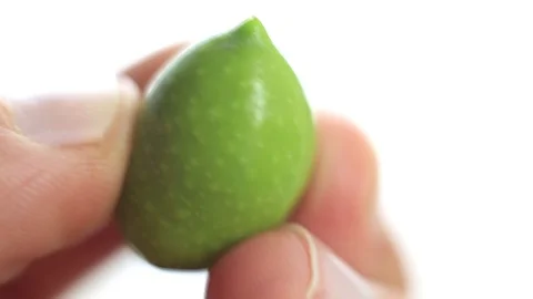 Green olive in hands on a white background. Macro Stock Footage 116614067