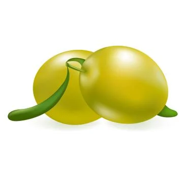 Green olive Stock Illustration