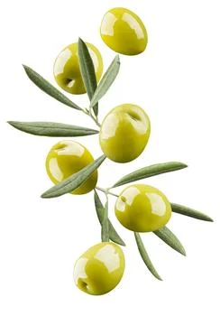 Green olive with leaves Foto stock