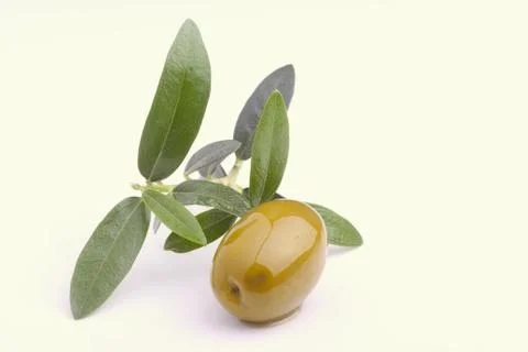 Green olive Stock Photos
