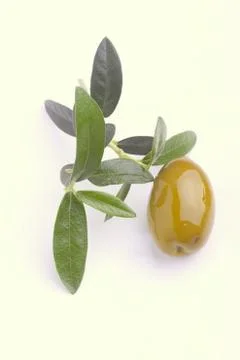 Green olive Stock Photos