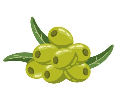Green olive seeds Stock Illustration