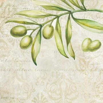 Green olives. Stock Illustration