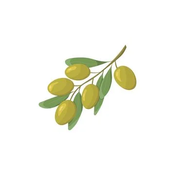 Green Olives Stock Illustration