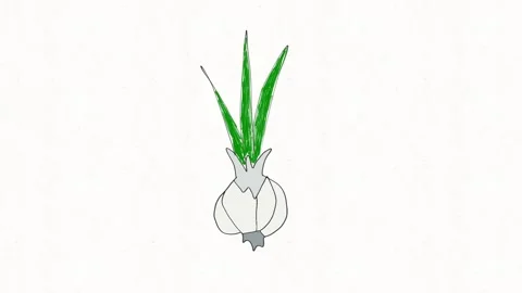 Green Onion Doodle Animation Stock Footage 338000241