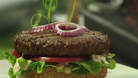 Green onion falling on burger Stock Footage 219466047
